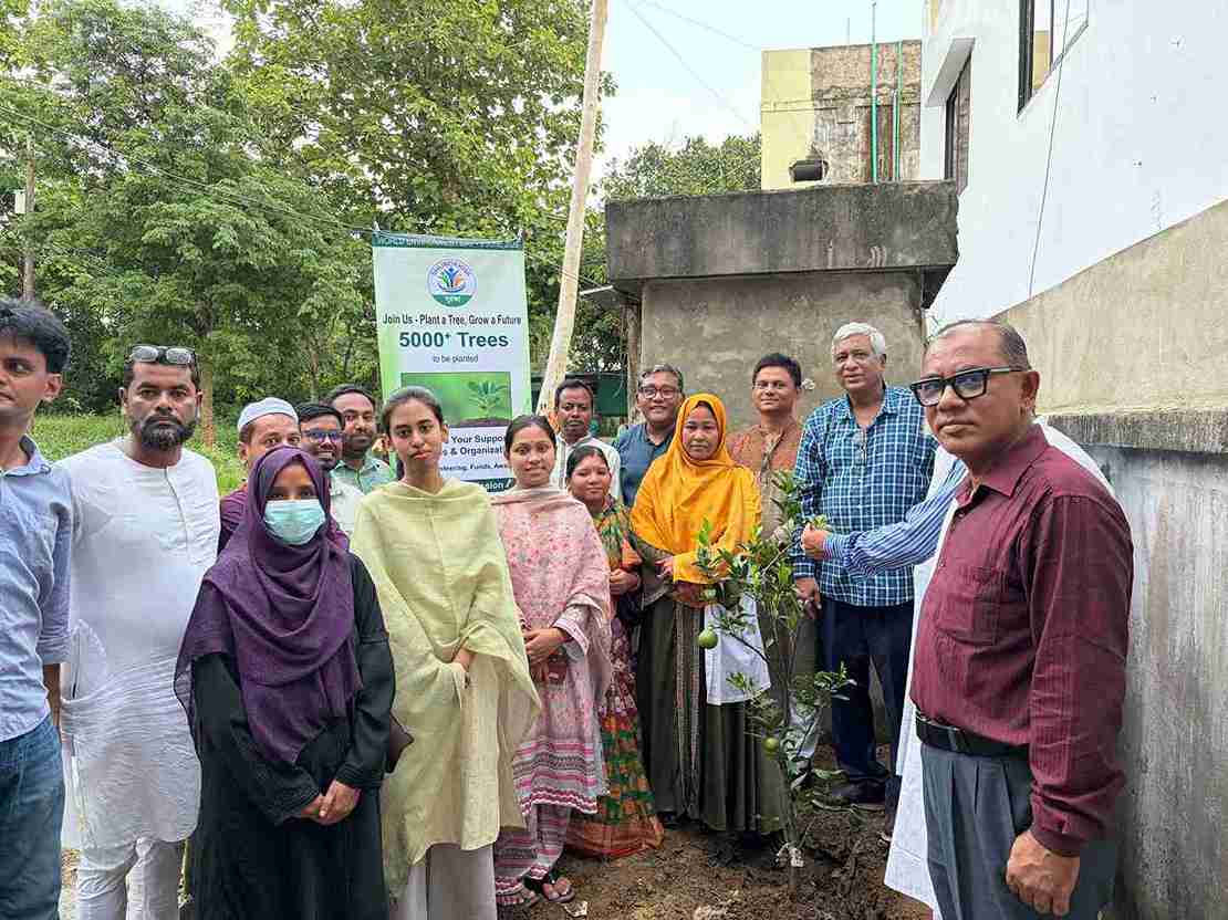 Tree Plantation